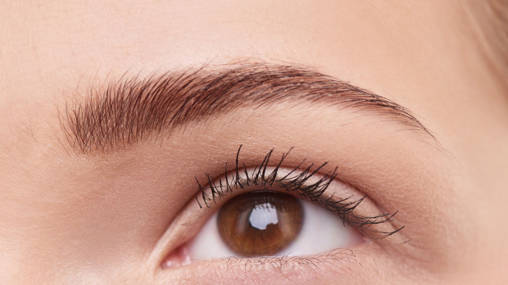 ps眉毛画笔怎么用,ps画笔教程从零开始学