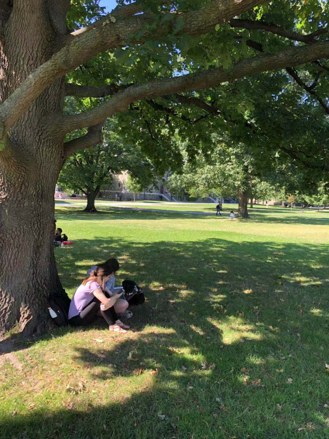 探秘美国康奈尔大学，细数康奈尔的这“几宗最”