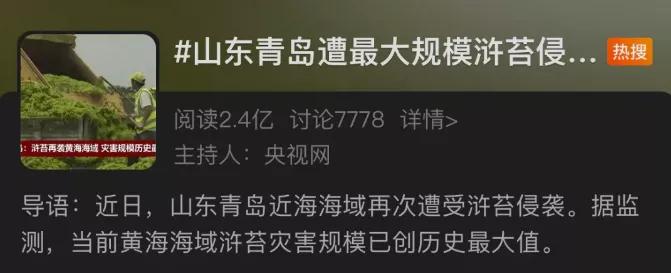 青岛绿苔还有吗,青岛现在变绿了么