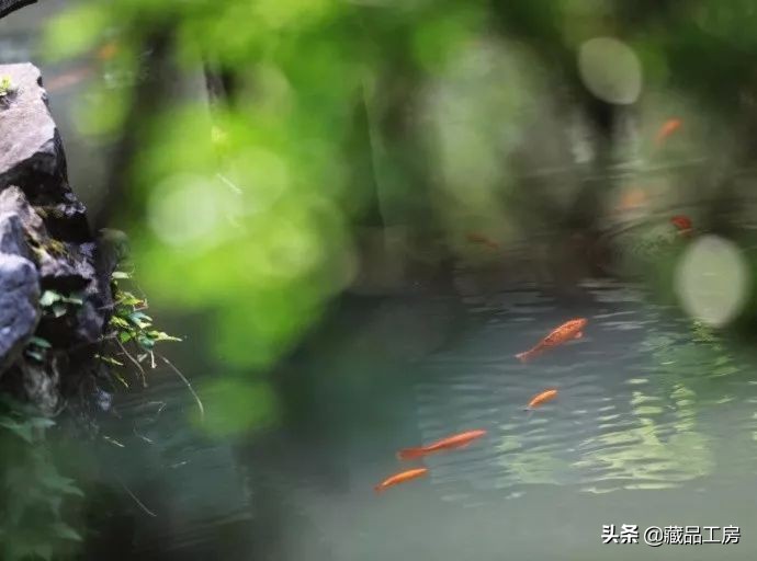 转瞬夏将至,转眼夏日已尽