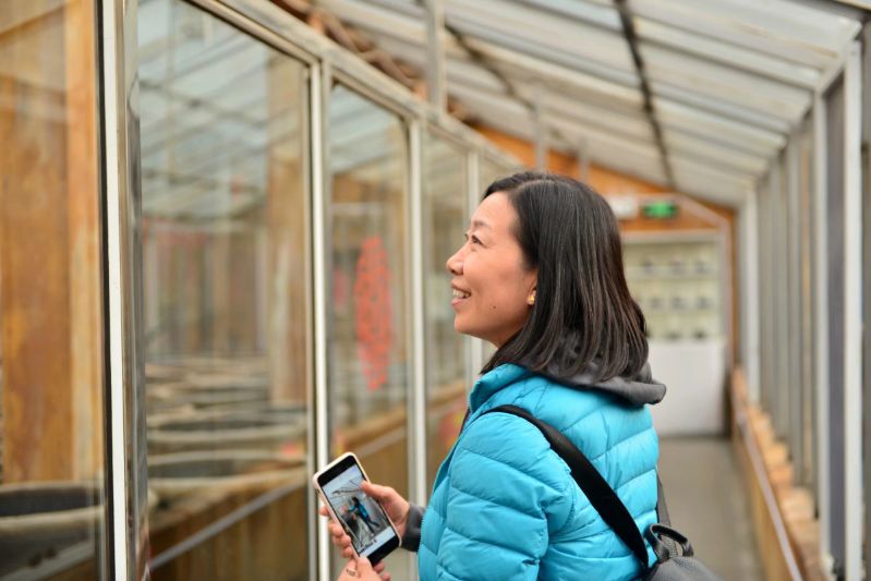 山西醋泡鸡蛋正确方法,山西老醋的功效与作用