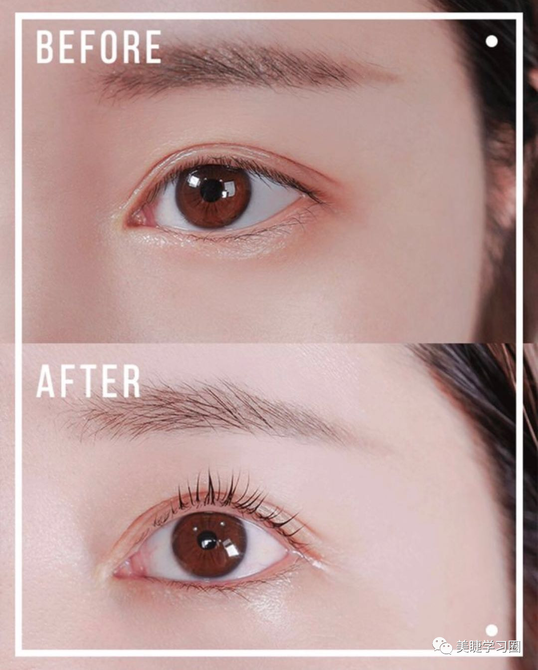 孕睫术睫毛真的能长长吗,睫毛孕睫术效果怎么样