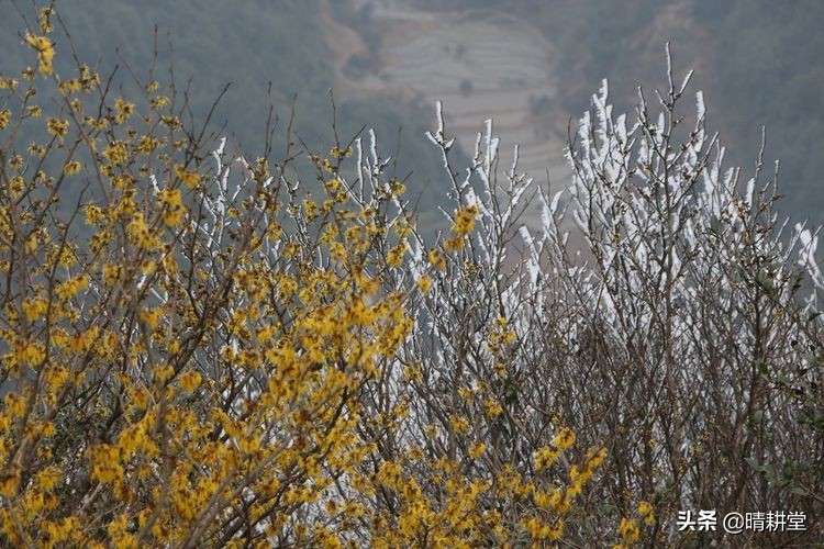 赣州峰山附近一日游自驾游景点,赣州峰山美景
