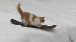 冬奥会服装绘画,冬奥会奖牌设计画