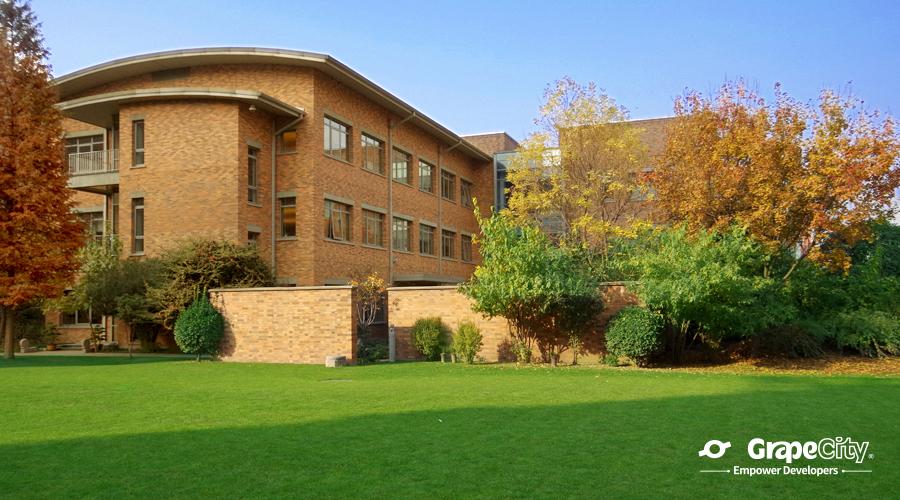 数据猿专访葡萄城总经理倪爱军：低代码，未来可期