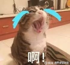 澶у涔卞甫涓滆タ鍘绘境娲茶娴峰叧缃氭,涓浗濂冲鍏ュ琚嫎