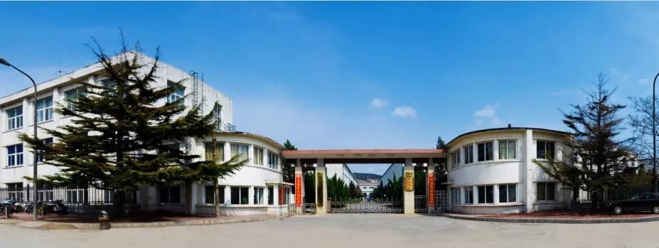 大连亚明董事长鲁超,大连亚明鲁超