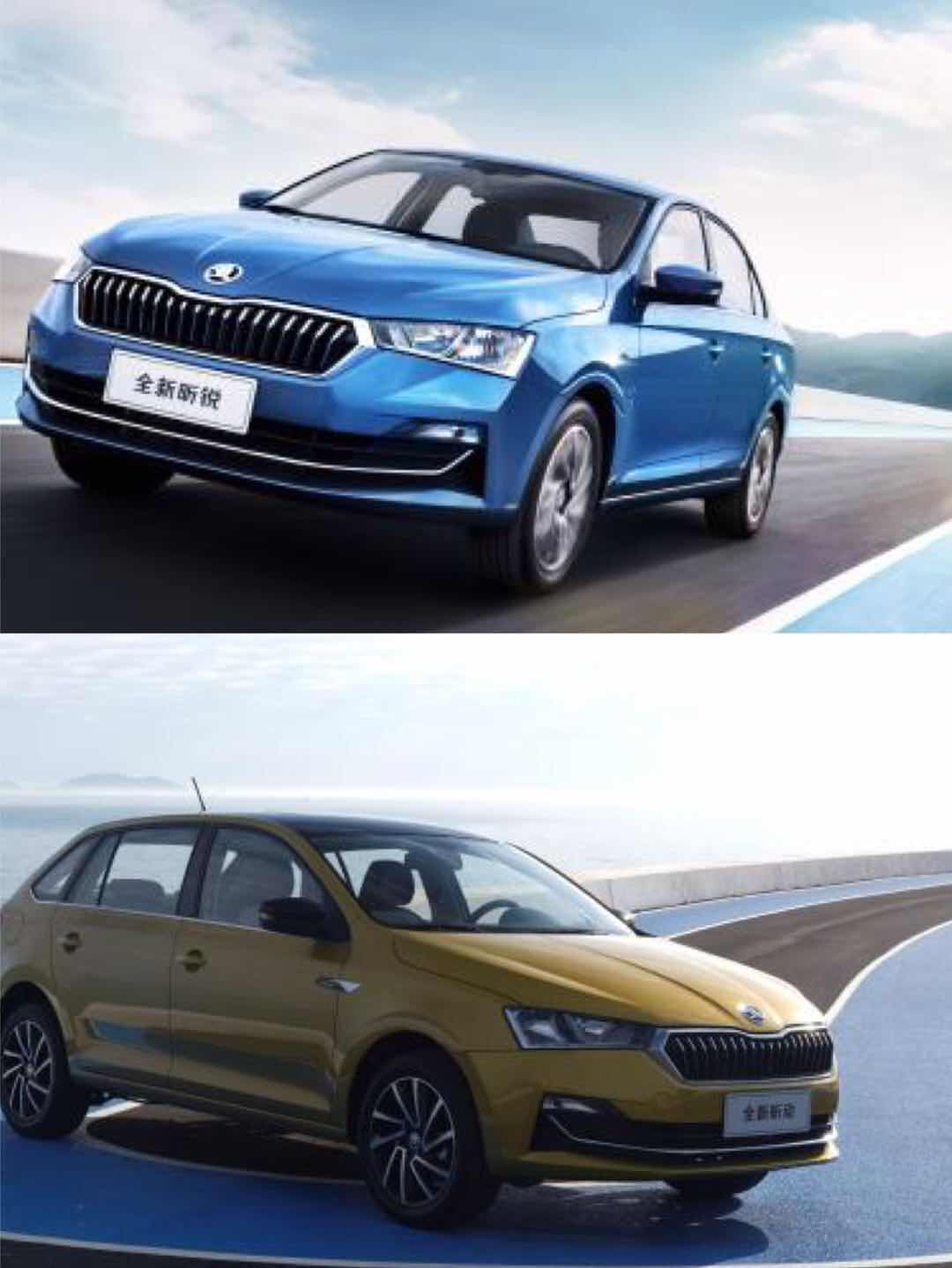 斯柯达斑马智行缺点,斯柯达斑马智行功能