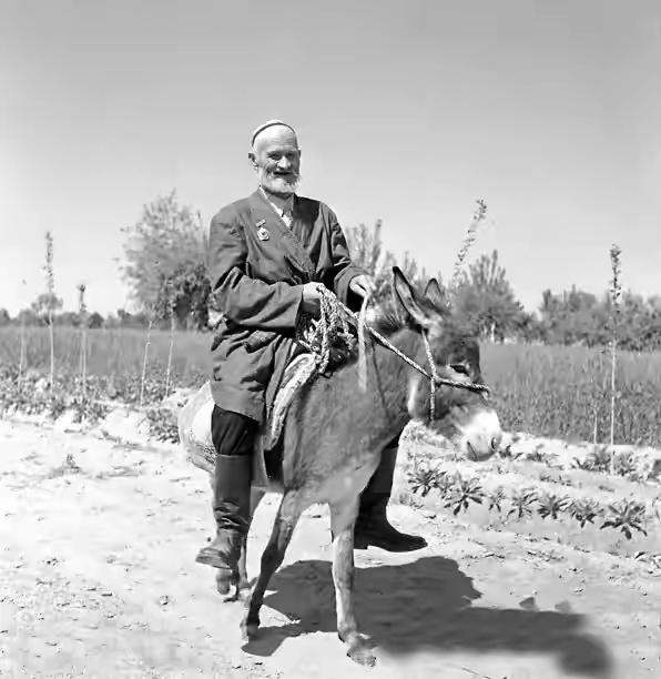 1958年,毛主席对库尔班说:谢谢你,这么远还要骑着毛驴来看我