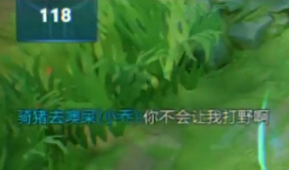 王者荣耀gm巡查出现在什么局,王者荣耀的gm巡查是什么东西