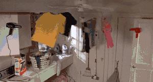 梅雨季节除虫小妙招,梅雨季节如何防霉防菌