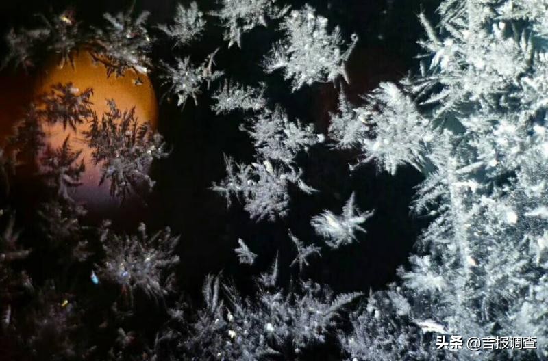 玻璃窗上的霜花像什么,玻璃上的霜花是什么样子