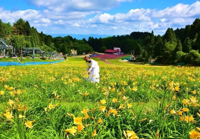 宝藏城市有什么好吃的,神户打卡地