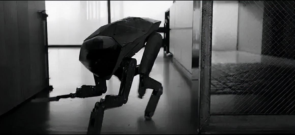 进击的机器人,进击的机械狗在哪里