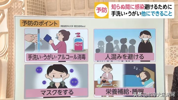 日本钻石公主号什么情况,钻石公主号简介国籍