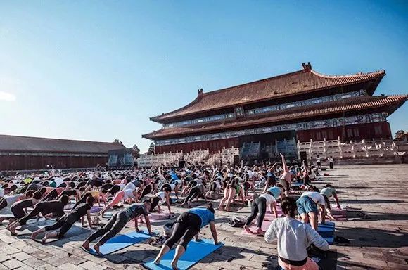 一千元的瑜伽裤,一条瑜伽裤800元