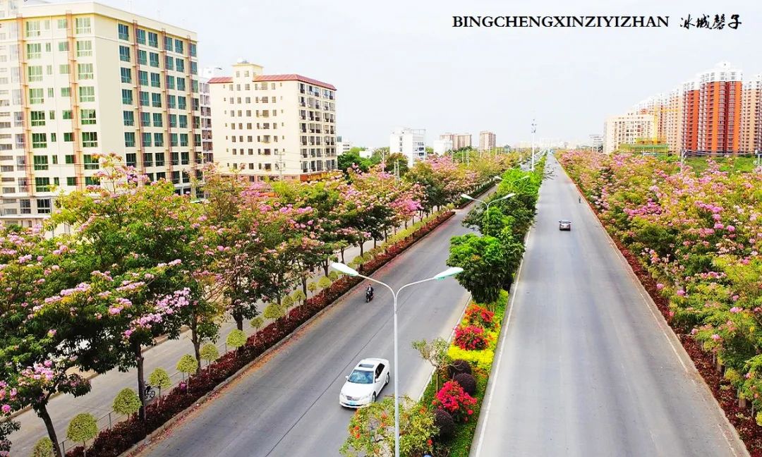 乐东九所海边康养基地,海南乐东九所景和家园