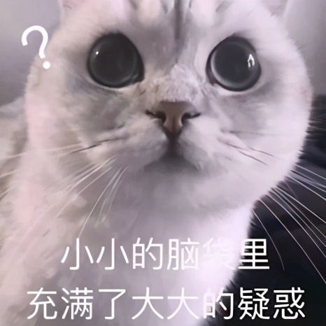 草莓上面的籽是草莓的种子吗,草莓上的籽是芝麻吗