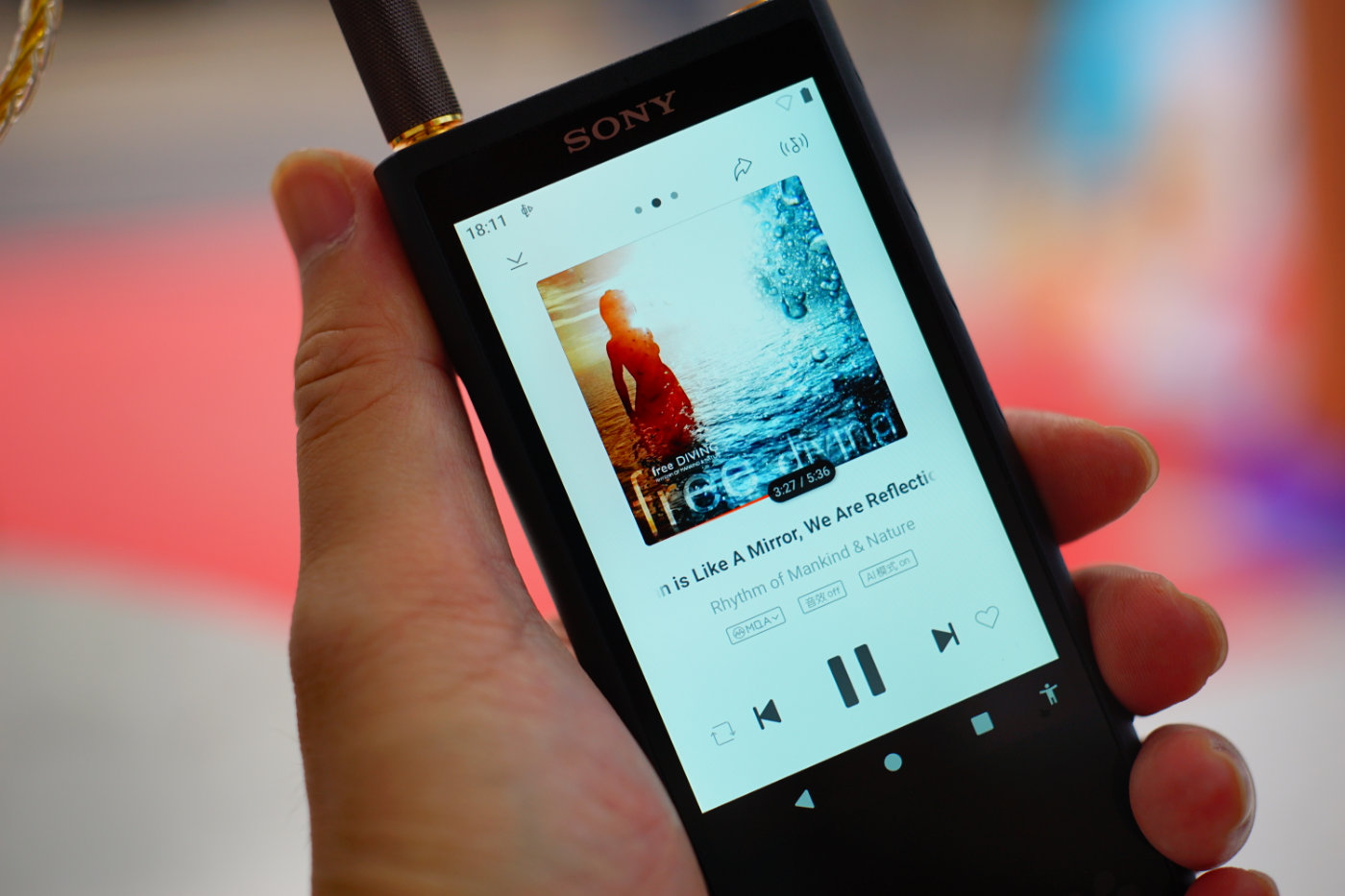 索尼walkmannwz-f88,索尼walkmannw-zx300a播放器