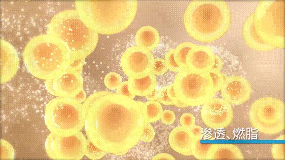 骨盆前倾穿塑身衣有用吗,别上当塑身衣真的有用吗