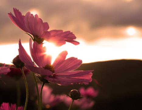真正的聪明人有这六大特征,真正聪明人心计有哪些