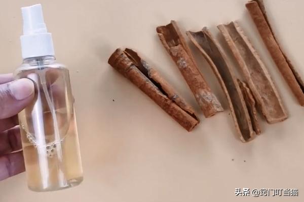 用开水可以消灭蚂蚁吗,灭蚂蚁窝不用药