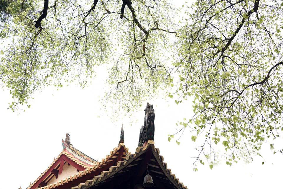 高僧劝诫的四种方法,高僧指点人生逆境