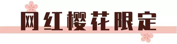 没时间去踏青赏花,没时间去摘樱桃