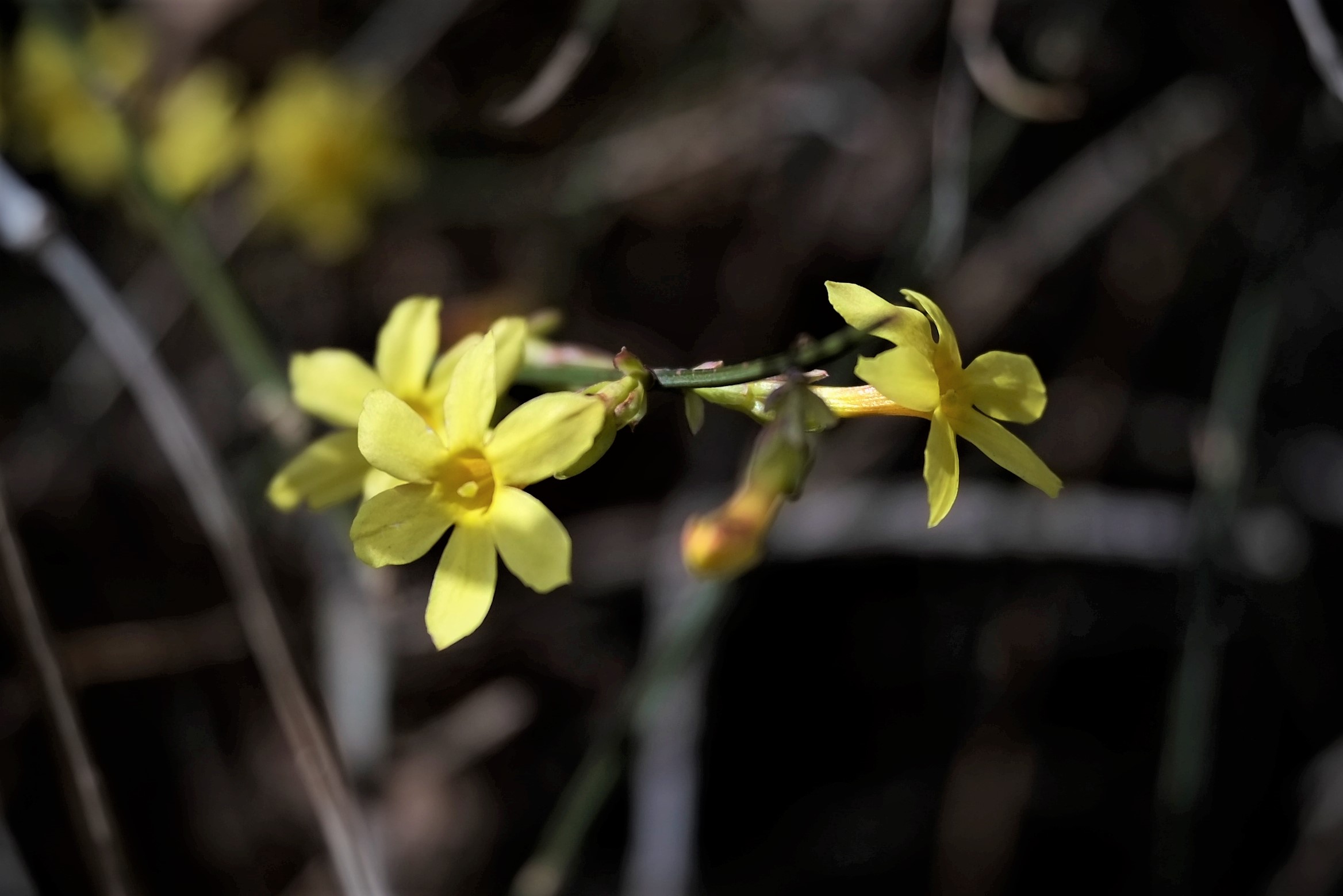 「老相机」照片中毒/二手富士X-PRO1+七工匠25mmF1.8的魅力