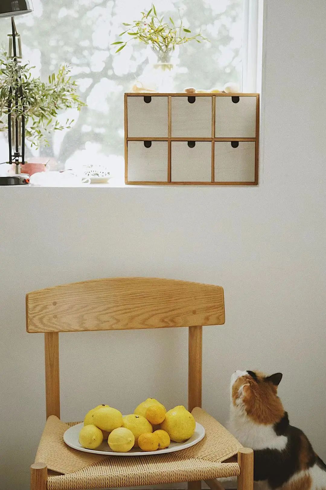 涔℃潙鏋佺畝浣忓畢,涔℃潙浣滃