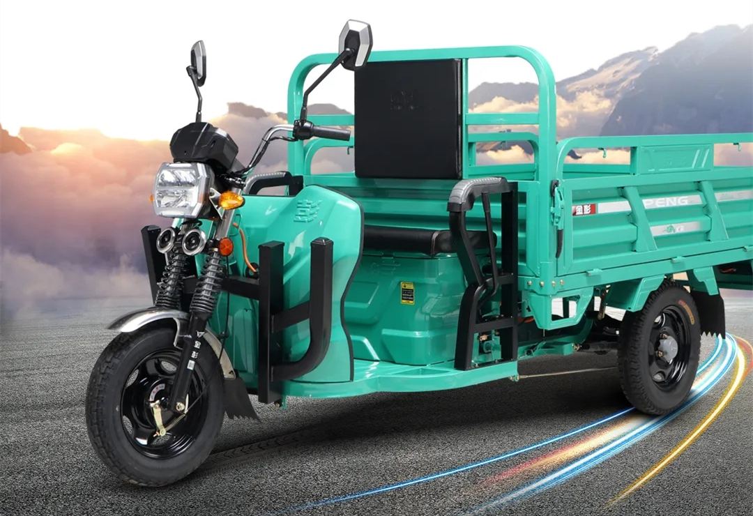 动力最强劲的电动三轮车家用,最新款的电动三轮车有哪些