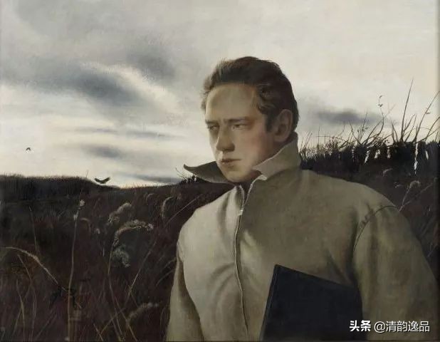 类似安德鲁怀斯的画家,安德鲁怀斯画家视频