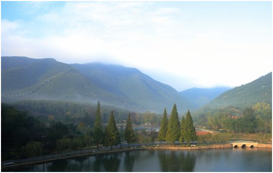 绵绵细雨江南雨,绵绵春雨雨中赏花