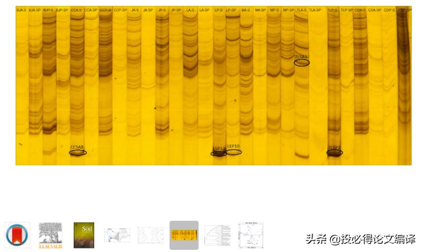 真正永久免费的pdf编辑软件,免费的pdf编辑神器