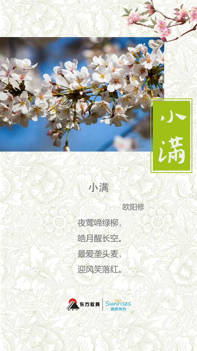 今日小满愿你小得盈满图片,小满者小得盈满的意思