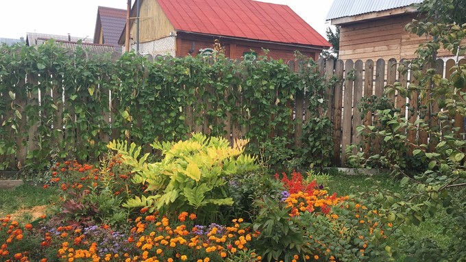 难忘俄罗斯那抹淡淡的秋色