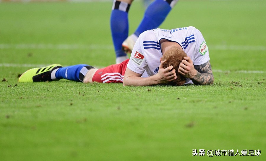 德甲50+1政策霍芬海姆,霍村老板霍普霍芬海姆