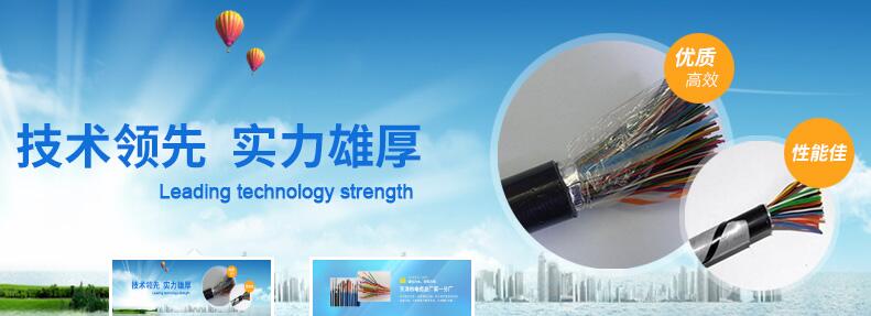 天津市电缆总厂第一分厂地址,天津市电线电缆总厂