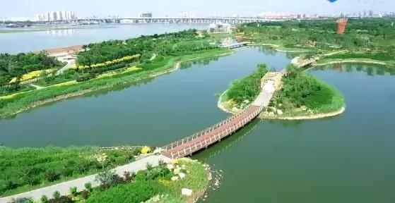 未来的天津,未来的天津有多大