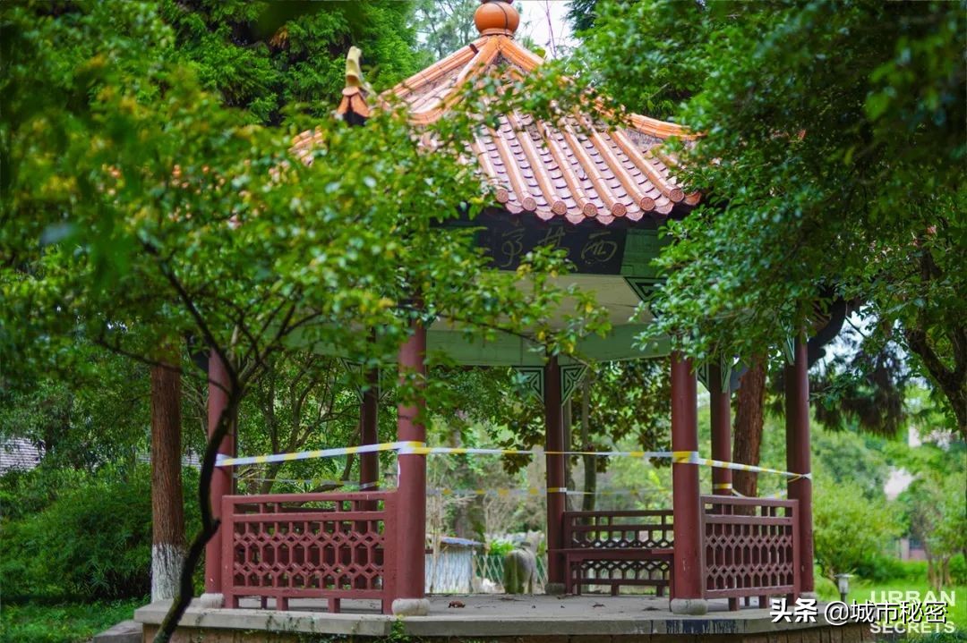 杭州小学名师诞生地(上)