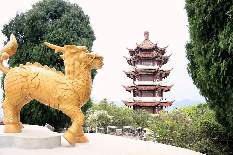 三明麒麟山改造,满意在三明宣传片