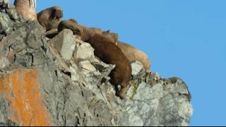 网飞2020高分电视剧排行榜,网飞高分剧排行榜在哪看