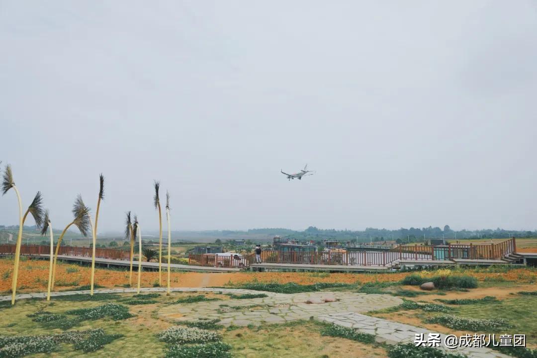 空港花田和空港体育公园哪个好,空港运动公园看飞机攻略
