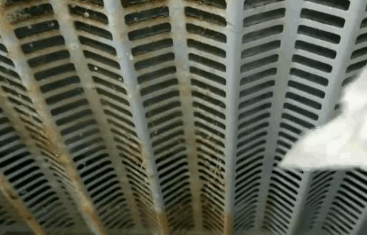 抖音点赞破500万的油烟机清洗,真的有用么?