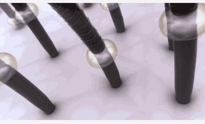 沙宣“退位让贤”，护发届翘楚“阿玛尼”上线，网友：良心洗发水