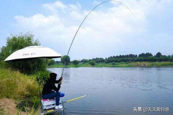 野钓三大技巧让你提高中鱼率,钓不到大鱼全是小鱼怎么办