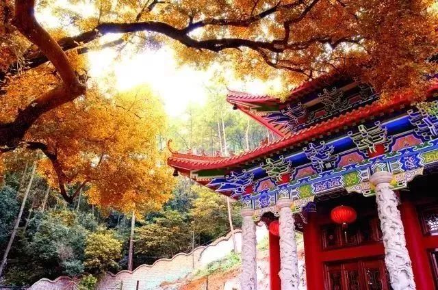 看完，会让你爱上桂平、感到自豪……