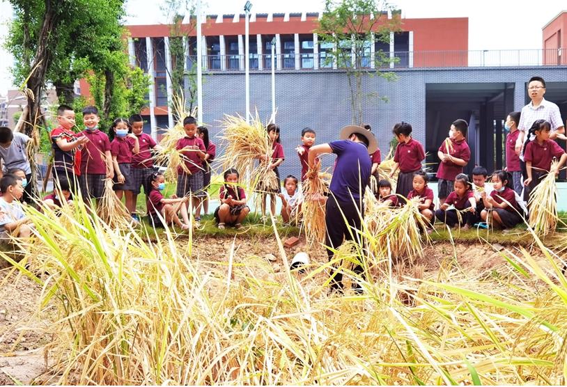 两江新区童心小学教育集团,重庆两江新区青禾童心小学校