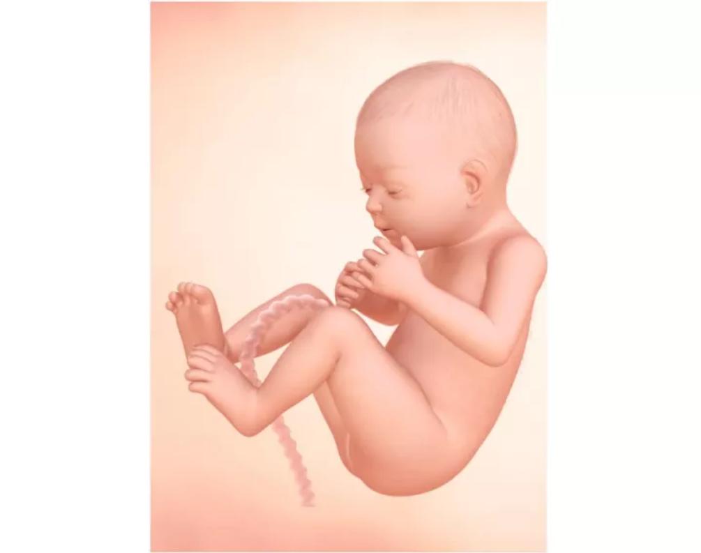 孕期伸懒腰腿抽筋怎么回事,孕期腿抽筋怎么缓解最有效