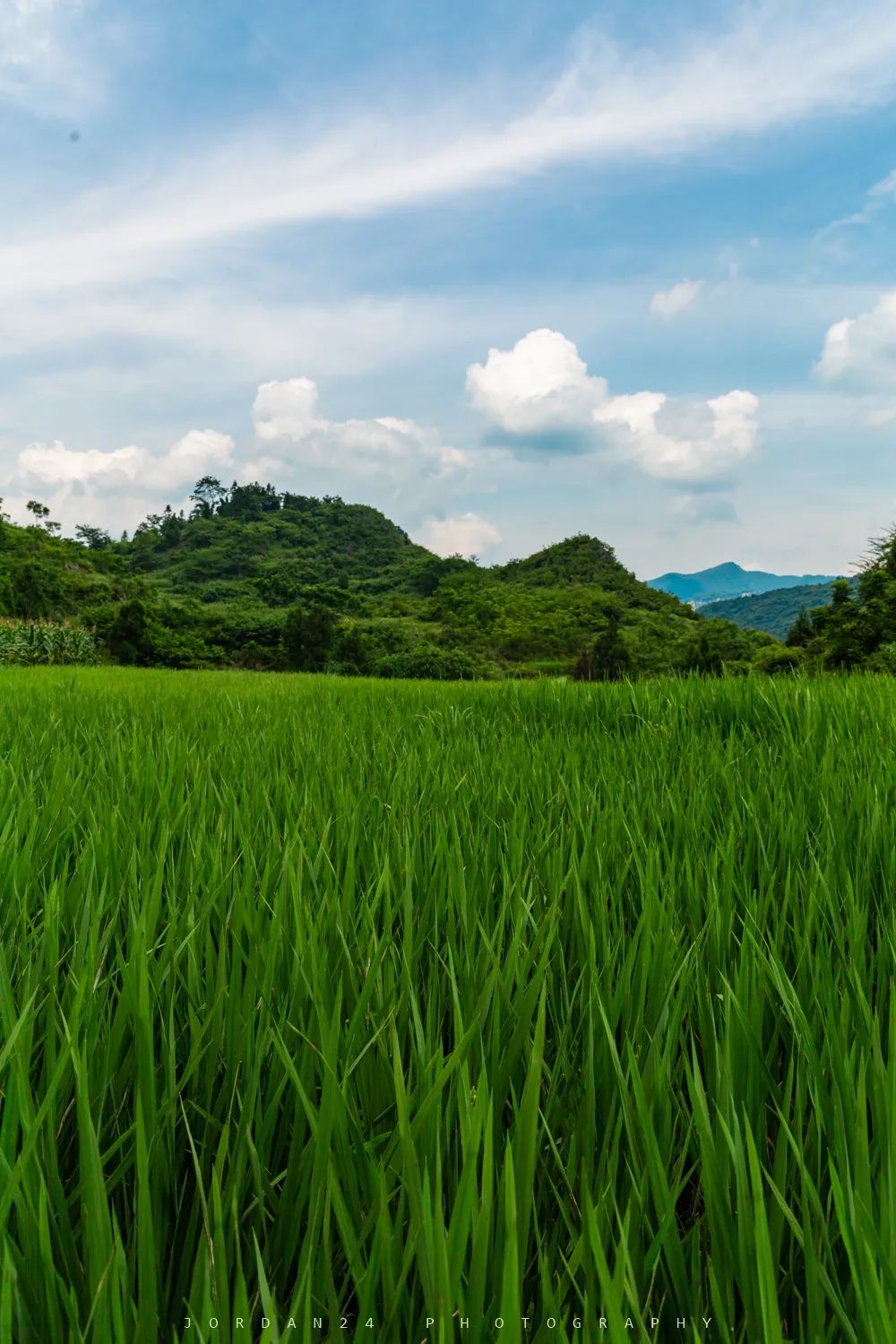 綦江城区游,重庆綦江区旅游
